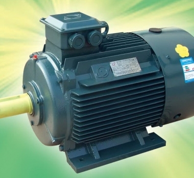 東莞電機(jī)供應(yīng) 電動(dòng)機(jī)效率與溫升問(wèn)題的探討